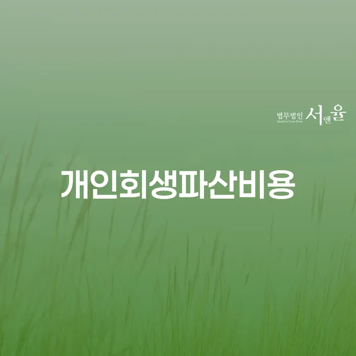 나홀로개인회생 개인회생 문제해결방법 자세히알고