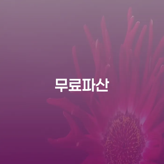 개인회생인가 채무조정제도을 이용하여 주목받는