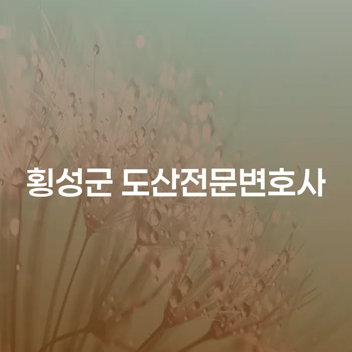 횡성군 도산전문변호사와 함께하는 채무 해결의 길